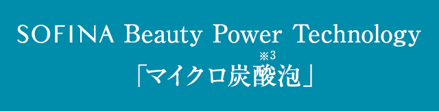 Beauty Power Technology「マイクロ炭酸泡」