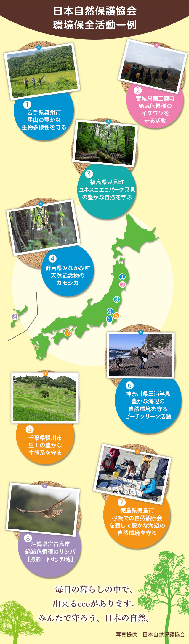 日本自然保護協会環境保全活動一例 毎日の暮らしの中で、できるecoがあります。みんなで守ろう、日本の自然。