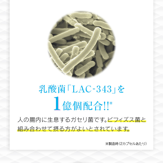 乳酸菌「LAC-343」を1億個配合！！