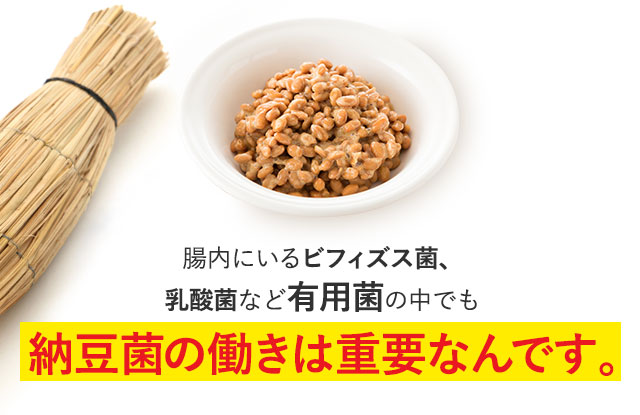 腸内環境を整えるのにひと役買ってくれると言われているのが日本の国民食納豆！