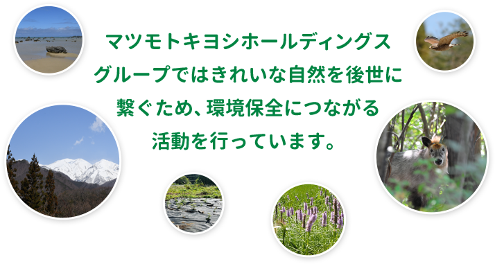 マツモトキヨシグループではきれいな自然を後世に繋ぐため、環境保全につながる活動を行っています。