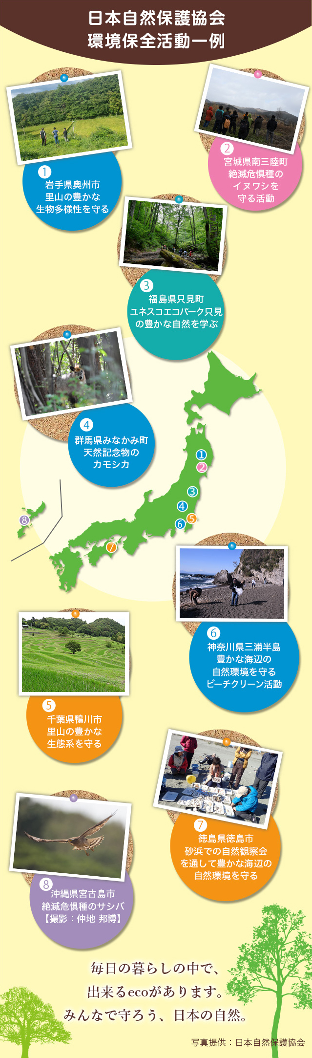 日本自然保護協会環境保全活動一例 毎日の暮らしの中で、できるecoがあります。みんなで守ろう、日本の自然。